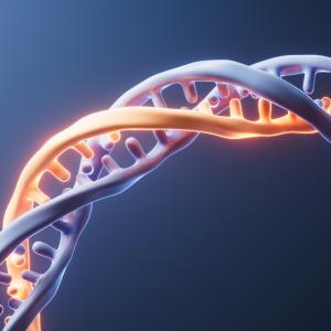 Китайски учени откриха генетичен дефект, свързан със системен лупус еритематозус