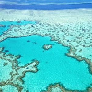 През последното десетилетие водите на Големия бариерен риф са били най-горещи от 400 години 