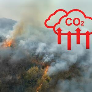 Нивата на въглероден диоксид достигнаха рекордни стойности