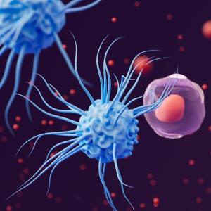 Мазнините в храната ни могат да повлияят на имунитета