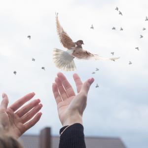 Прощавам и (не) забравям