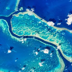 Големият бариерен риф преживява най-мащабното избелване в историята – причината е климатичната криза