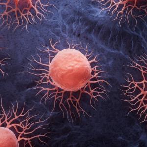 Нарушена връзка между мозъка и черния дроб води до опасна загуба на тегло при рак