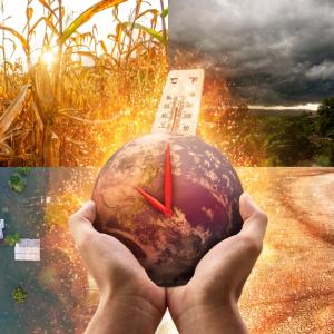 2025: Климатът като фон — изтласкван от политиките, но все по-настъпателен в проявленията си