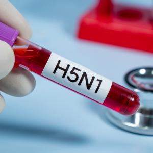 Създадоха модел с изкуствен интелект за прогнозиране на птичи грип в Европа