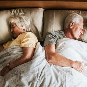 Учени: Хората, птиците и влечугите спят в един и същ ритъм от над 300 милиона години