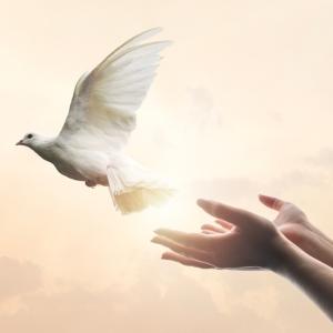 Не можем да следваме принципа 