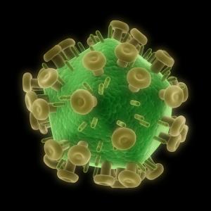 Еднократна клетъчна терапия осигурява контрол върху ХИВ инфекцията