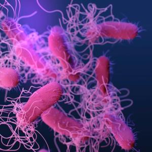 Сладководни микроорганизми от Швеция подобряват разбирането за еволюцията на бактериите