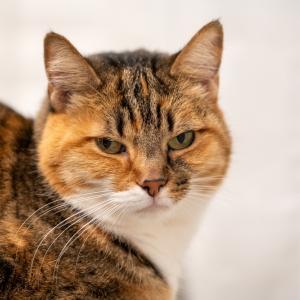 Правите ли това? Със сигурност лазите по нервите на хората