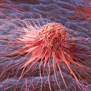 Популярна добавка против стареене може да подпомага растежа на рак