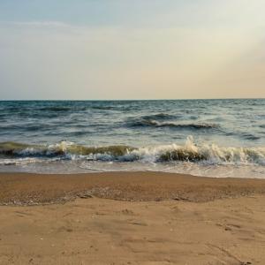 Микроби в крайбрежните пясъци могат да възпрепятстват усилията за борба с изменението на климата