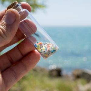 Микропластмасата не е толкова безобидна, колкото смятахме: във водата тя образува свободни радикали, които увреждат ДНК