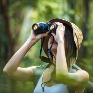 Наблюдението на птици може да подпомогне предпазването на мозъка с напредъка на възрастта