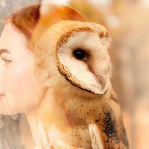 Смисълът на живота е във вътрешния ни баланс 