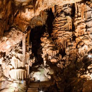 Подземната перла на България: Пещера Съева дупка и нейните потайни обитатели