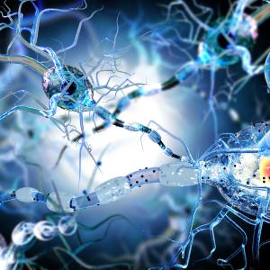 Ролята на невровъзпалението при прогресиращата множествена склероза