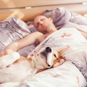 10 пози на спане спане на вашия домашен любимец, които издават отношенията помежду ви