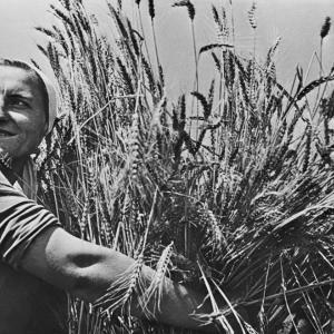 Виц: Руснак се хвали на група български селяни