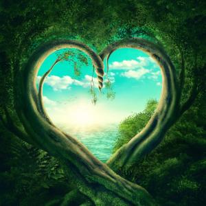 За другата гледна точка