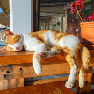 Шведски учен: Горещите климатични вълни ще стават все по-чести