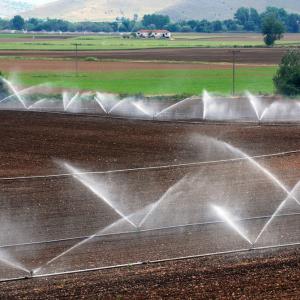 Замърсяването на питейната вода с пестициди е невидима заплаха