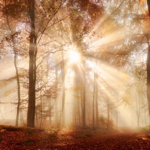 Има само един ден - днешният