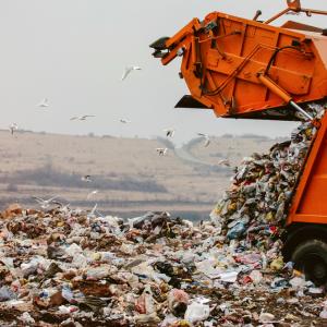 Нанопластмасите са сериозна заплаха за бъбреците