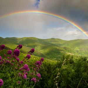 Изменението на климата ще доведе до повече дъги