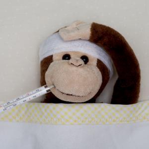 Ето какво представлява маймунската шарка и защо нямаме повод за притеснение (проверка на факти)