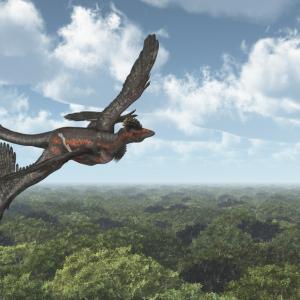 Oткриха първото свидетелство за динозавър, хранещ се с бозайник