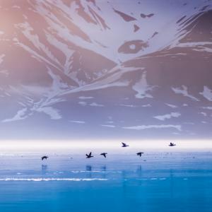 На Свалбард, арктическия архипелаг на Норвегия, бе регистриран нов температурен рекорд