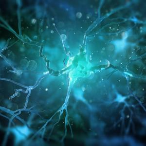 Как мозъчните увреждания могат да разкрият връзките между церебралната тъкан и разума