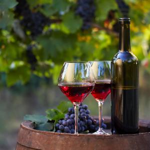 Влияе ли изменението на климата върху виното?