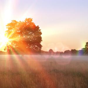 Декември 2021 г. – отново с над половин градусова положителна аномалия