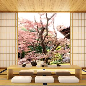 Магията на подреждането: японското изкуство да разчистваш и организираш