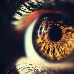 Хирурзи от Ню Йорк извършиха първата в света трансплантация на цяло око 