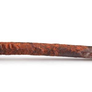 Всичко, което сте си мислили, че знаете за тетанусa, е погрешно