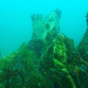 „Подводна вкаменена гора“ - уникален природен феномен в Созополския залив