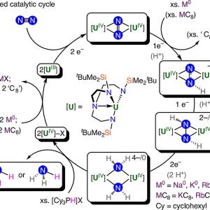 Катализатор на основата на уран превръща азота от въздуха в амоняк