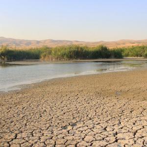 Крехките оазиси на планетата: бъдещето на влажните зони в затоплящия се свят