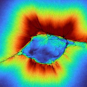 Когато работят заедно, клетките могат да 