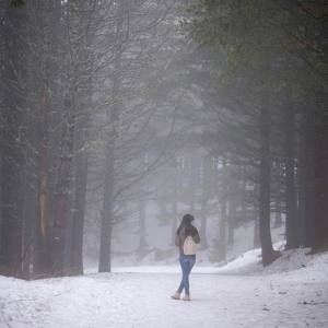 Януари под лупа: Климатът и решенията изпреварват политиките 