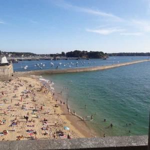 Учени алармират: Смъртоносни водорасли по френски плажове могат да ви убият за секунди