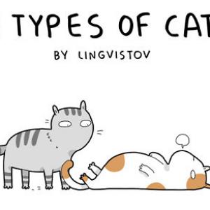 12-те типа котки