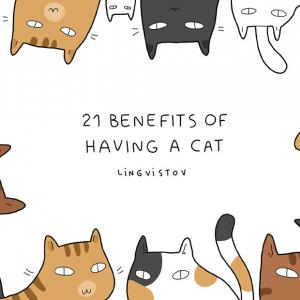 21 предимства да имаш котка