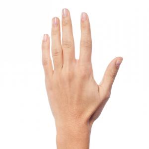 Какво можем да научим за характера от формата на ръцете