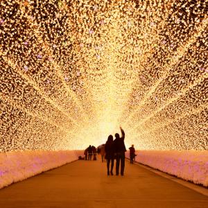 Впечатляващите японски тунели на светлината