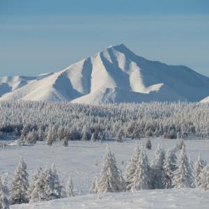 Откриха съвършено запазеното тяло на праисторическо кученце на 18 000 години