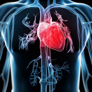 Нов обещаващ метод за борба със сърдечните болести